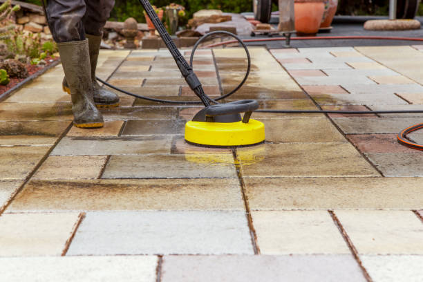Best Animal Enclosure Cleaning  in Ridgefield, WA