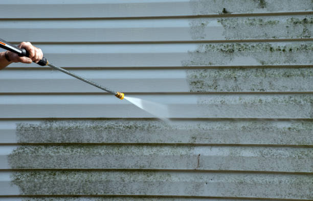 Boat and Dock Cleaning in Ridgefield, WA
